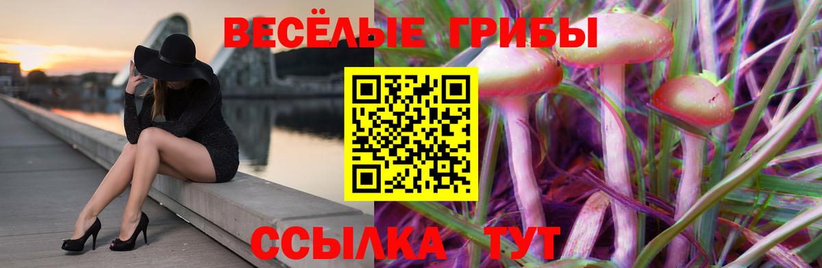 Тихорецк  Псилоцибиновые грибы GOLDEN TEACHER  Вход с VPN 
